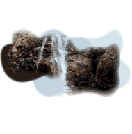 Planes y Tours MInca